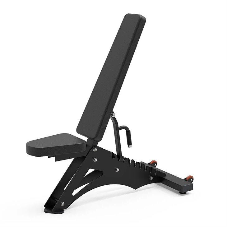 Adjustable Dumbbell Bench