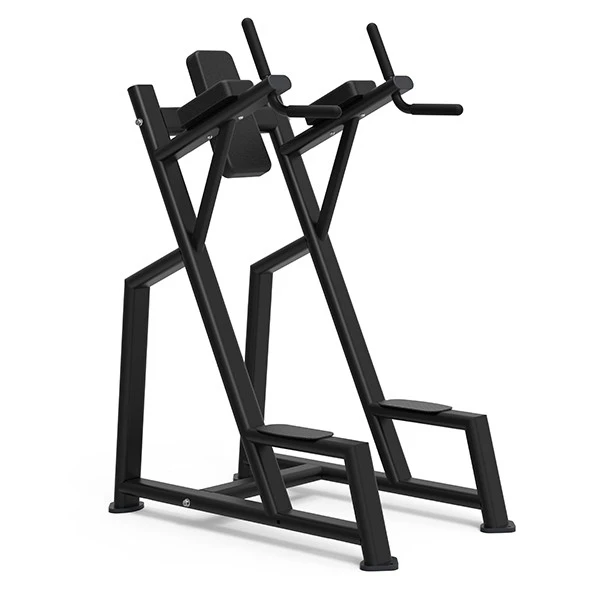 Gym Chin-Up Bench